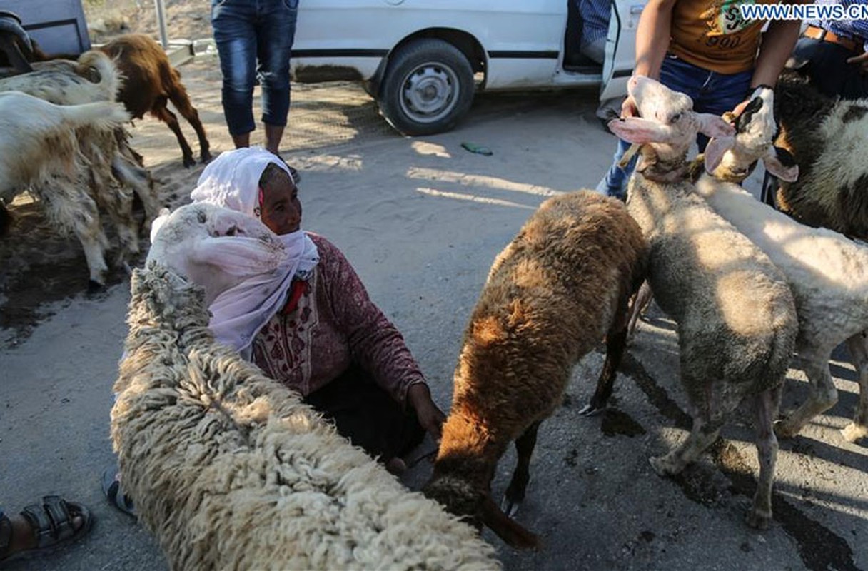 Nguoi Hoi giao tren khap the gioi chuan bi cho le hoi Eid al-Adha-Hinh-2